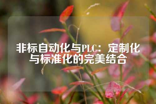 非标自动化与PLC：定制化与标准化的完美结合