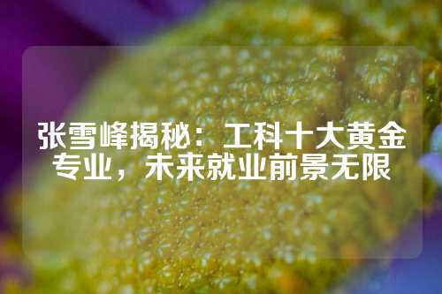 张雪峰揭秘：工科十大黄金专业，未来就业前景无限
