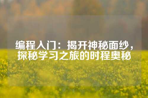 编程入门：揭开神秘面纱，探秘学习之旅的时程奥秘