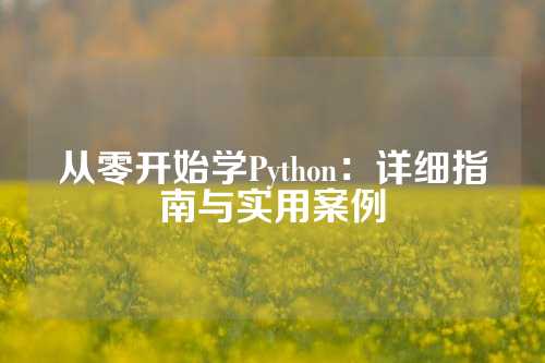 从零开始学Python：详细指南与实用案例