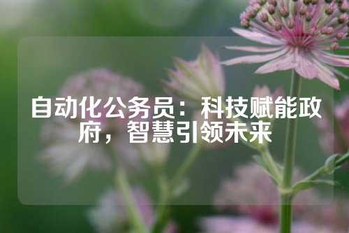 自动化公务员:科技赋能政府,智慧引领未来