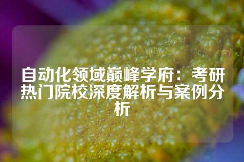 自动化领域巅峰学府：考研热门院校深度解析与案例分析