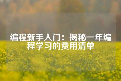 编程新手入门：揭秘一年编程学习的费用清单