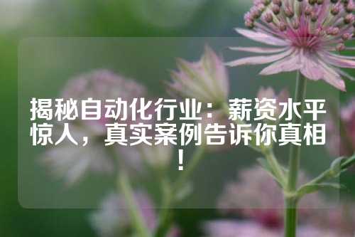揭秘自动化行业：薪资水平惊人，真实案例告诉你真相！