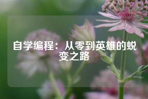 自学编程：从零到英雄的蜕变之路