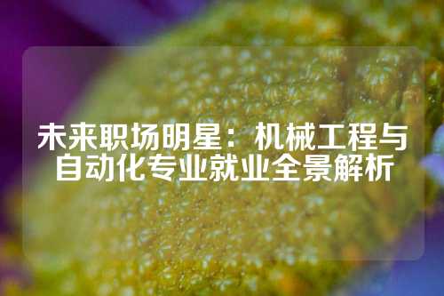 未来职场明星：机械工程与自动化专业就业全景解析