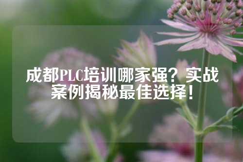 成都PLC培训哪家强？实战案例揭秘最佳选择！
