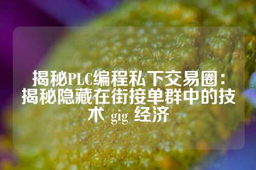 揭秘PLC编程私下交易圈：揭秘隐藏在街接单群中的技术 gig 经济