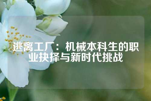 逃离工厂：机械本科生的职业抉择与新时代挑战