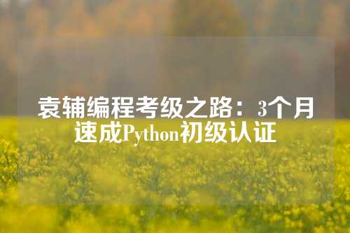 袁辅编程考级之路：3个月速成Python初级认证