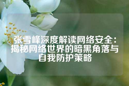张雪峰深度解读网络安全：揭秘网络世界的暗黑角落与自我防护策略
