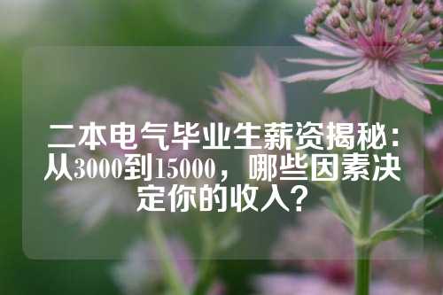 二本电气毕业生薪资揭秘：从3000到15000，哪些因素决定你的收入？