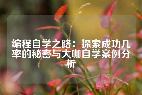 编程自学之路:探索成功几率的秘密与大咖自学案例分析