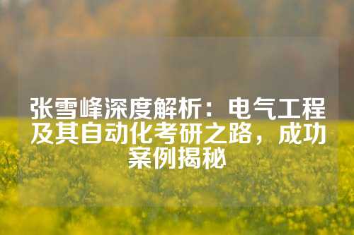 张雪峰深度解析：电气工程及其自动化考研之路，成功案例揭秘
