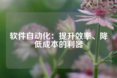 软件自动化：提升效率、降低成本的利器