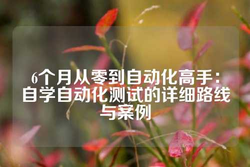 6个月从零到自动化高手：自学自动化测试的详细路线与案例