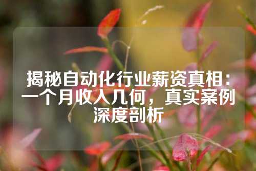 揭秘自动化行业薪资真相：一个月收入几何，真实案例深度剖析