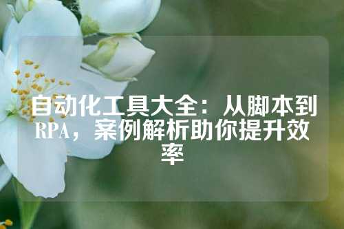 自动化工具大全：从脚本到RPA，案例解析助你提升效率