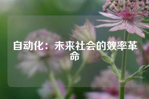 自动化：未来社会的效率革命