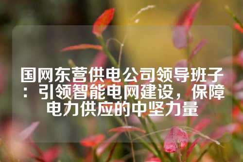 国网东营供电公司领导班子：引领智能电网建设，保障电力供应的中坚力量