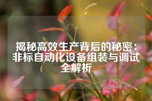 揭秘高效生产背后的秘密:非标自动化设备组装与调试全解析