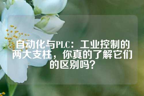 自动化与PLC：工业控制的两大支柱，你真的了解它们的区别吗？