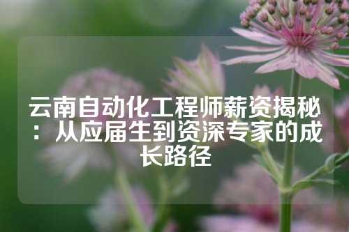 云南自动化工程师薪资揭秘：从应届生到资深专家的成长路径