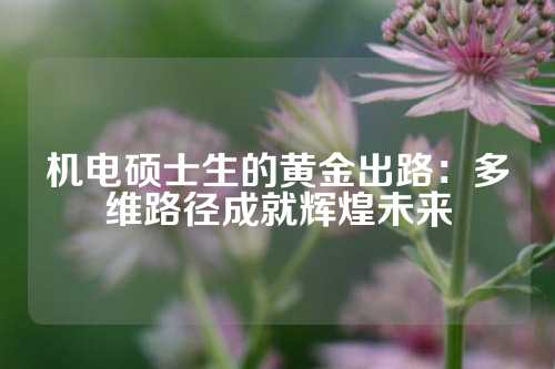 机电硕士生的黄金出路：多维路径成就辉煌未来