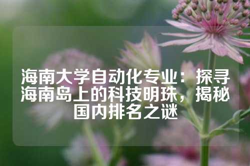 海南大学自动化专业：探寻海南岛上的科技明珠，揭秘国内排名之谜