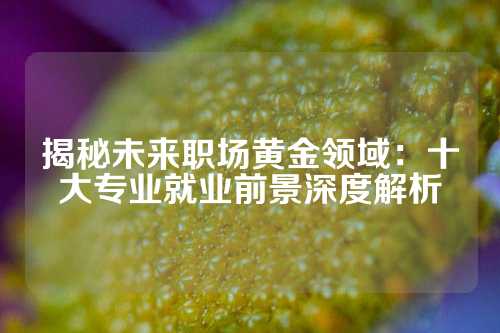 揭秘未来职场黄金领域:十大专业就业前景深度解析