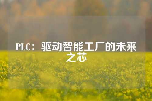 PLC：驱动智能工厂的未来之芯