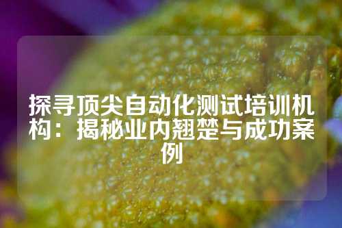 探寻顶尖自动化测试培训机构：揭秘业内翘楚与成功案例