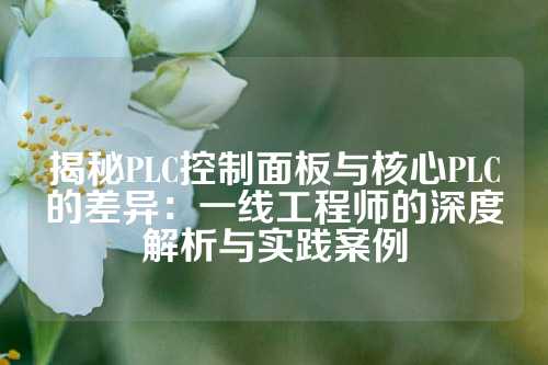 揭秘PLC控制面板与核心PLC的差异：一线工程师的深度解析与实践案例
