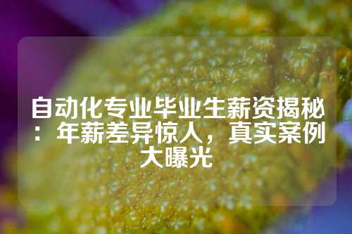 自动化专业毕业生薪资揭秘：年薪差异惊人，真实案例大曝光