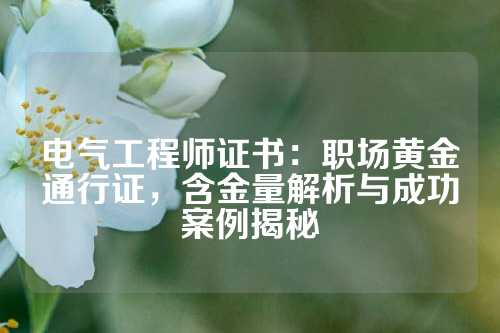 电气工程师证书：职场黄金通行证，含金量解析与成功案例揭秘