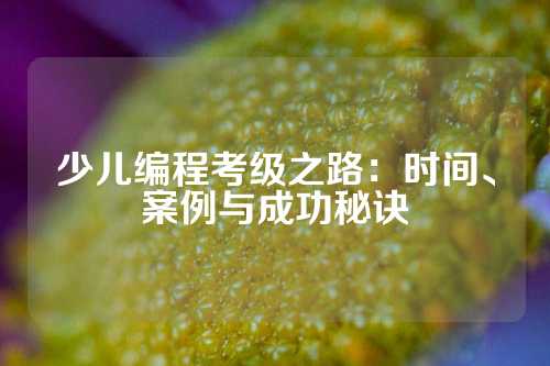 少儿编程考级之路：时间、案例与成功秘诀