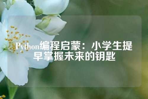 Python编程启蒙：小学生提早掌握未来的钥匙