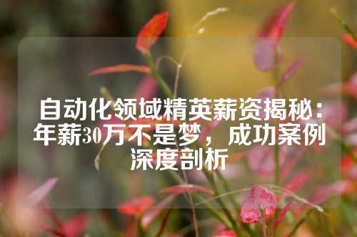 自动化领域精英薪资揭秘：年薪30万不是梦，成功案例深度剖析