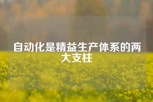 自动化是精益生产体系的两大支柱