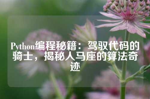 Python编程秘籍：驾驭代码的骑士，揭秘人马座的算法奇迹