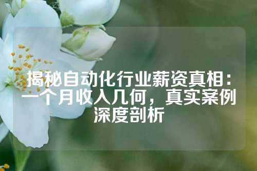 揭秘自动化行业薪资真相：一个月收入几何，真实案例深度剖析