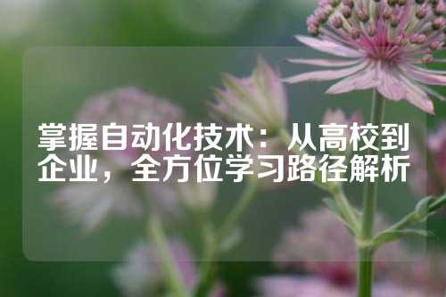 掌握自动化技术：从高校到企业，全方位学习路径解析
