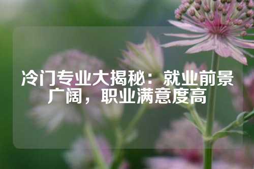 冷门专业大揭秘：就业前景广阔，职业满意度高
