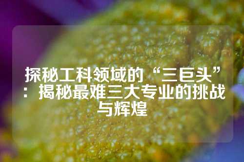 探秘工科领域的“三巨头”：揭秘最难三大专业的挑战与辉煌