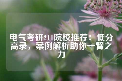 电气考研211院校推荐：低分高录，案例解析助你一臂之力