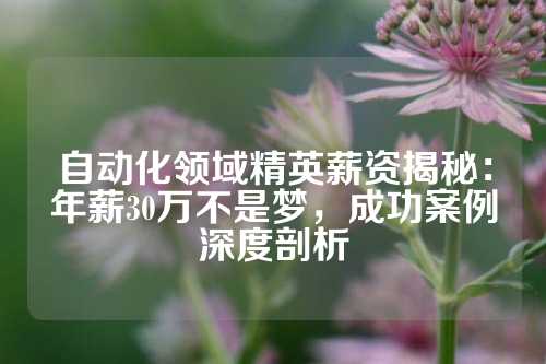 自动化领域精英薪资揭秘：年薪30万不是梦，成功案例深度剖析