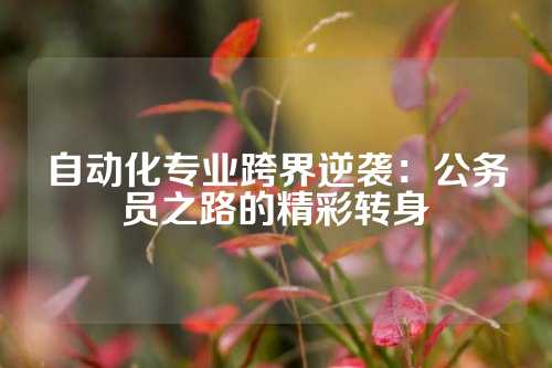 自动化专业跨界逆袭：公务员之路的精彩转身
