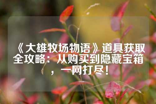 《大雄牧场物语》道具获取全攻略：从购买到隐藏宝箱，一网打尽！