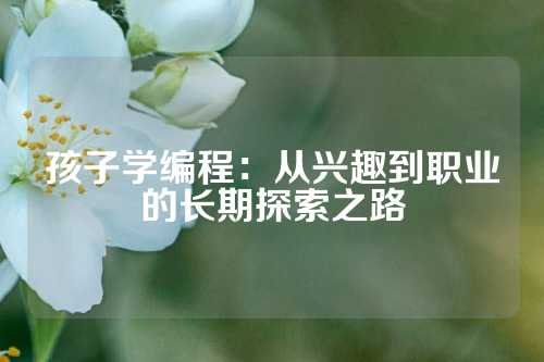 孩子学编程：从兴趣到职业的长期探索之路