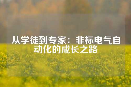 从学徒到专家：非标电气自动化的成长之路